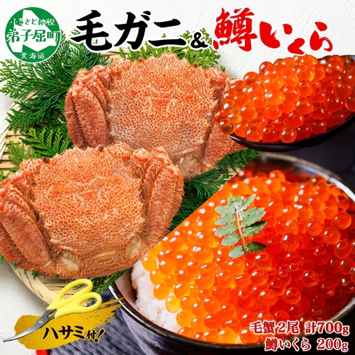 【訳あり】北海道産　毛蟹　2尾セット（合計約900ｇ〜1ｋｇ分）　付け足 訳あり 活毛ガニ 北海道産 冷蔵 2尾セット 合計1kg前後 活き 未