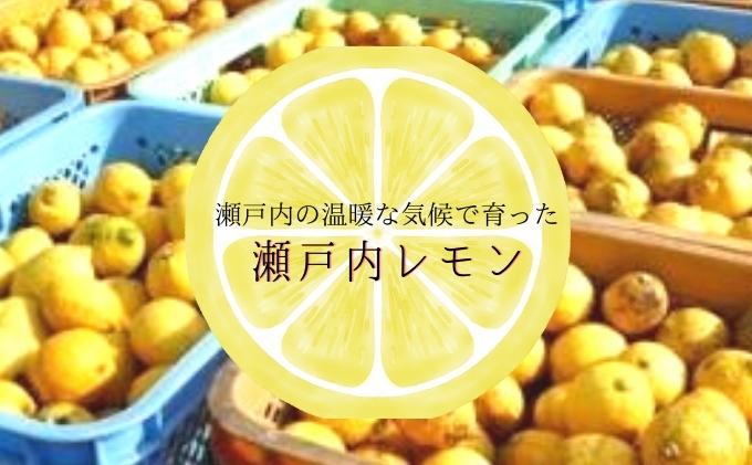 瀬戸内レモン 20kg #4 いやらしい