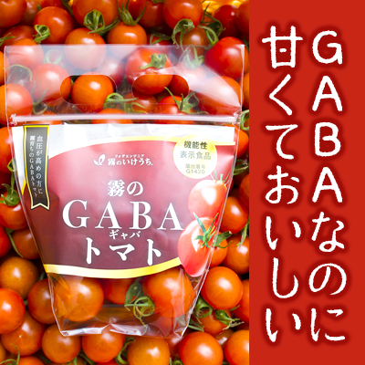 兵庫県西脇市のふるさと納税 【血圧が気になるあなたに！機能性表示食品】 霧のGABAトマト 300ｇ×4パック  兵庫県 西脇市 霧のいけうち トマト 野菜 青果 希少 GABA 甘い 甘味 酸味