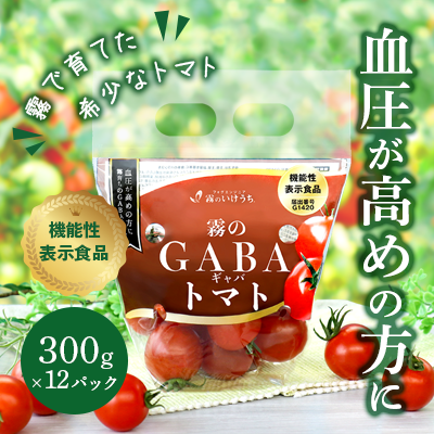 【兵庫県西脇市】【血圧が気になるあなたに!機能性表示食品】 霧のGABAトマト 300g×12パック  兵庫県 西脇市 霧のいけうち トマト 野菜 青果 希少 GABA 甘い 甘味 酸味