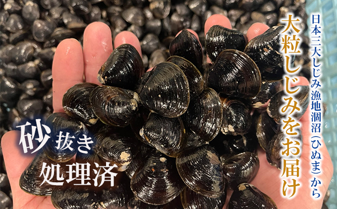 6パック　冷凍 大和しじみ　1kg×6パック 楽天市場】十三湖産 冷凍 しじみ 中粒 1kg 砂抜き済み シジミ