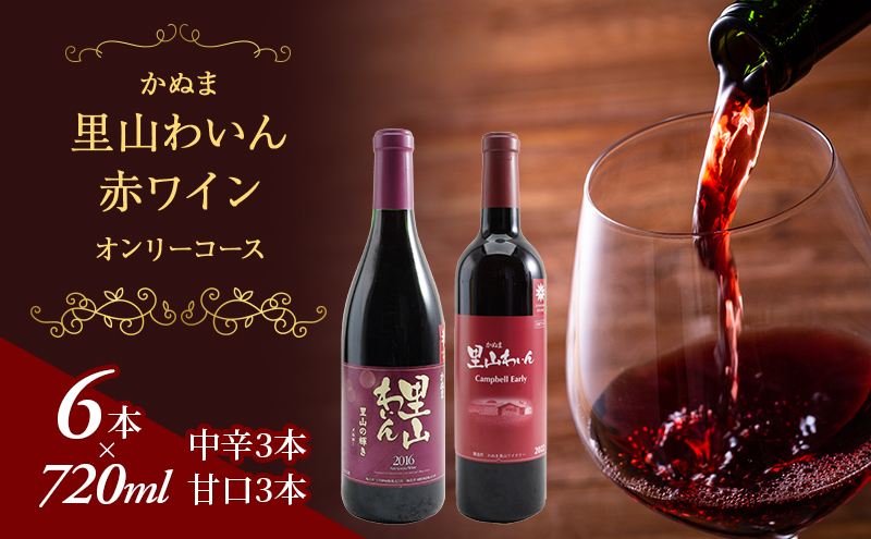 【栃木県鹿沼市】かぬま 里山わいん 赤ワイン オンリーコース 720ml × 6本 お届け 入金確認後 14日〜1ヶ月 お酒
