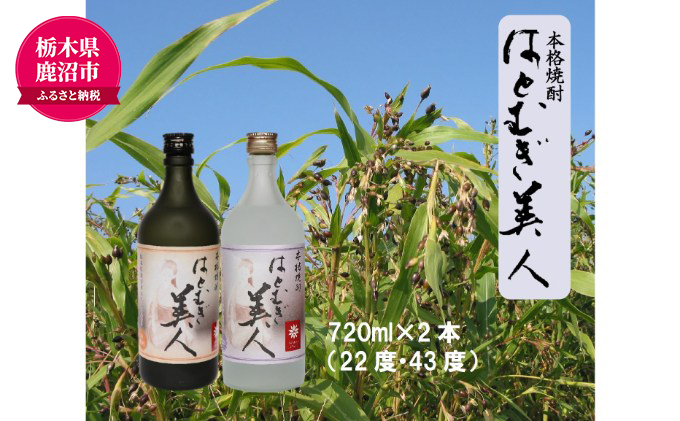【栃木県鹿沼市】【栃木県 鹿沼市産】 本格焼酎 はとむぎ 美人 2本セット(22度・43度)各720ml×2本 酒 焼酎 麦 酒 米焼酎 お酒