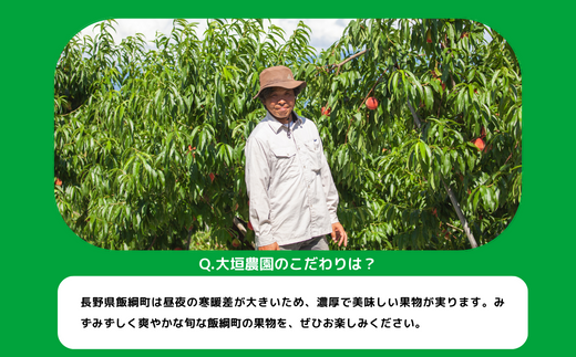 りんご サンふじ 家庭用 5kg 大垣農園 沖縄県への配送不可 2023 りんご サンふじ 家庭用 5kg 大垣農園 沖縄県への配送不可 2023