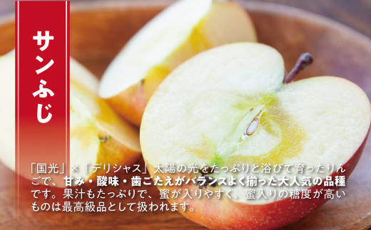 長野県飯綱町のふるさと納税 ＼農家応援企画／【令和7年度先行予約返礼品】りんご サンふじ 3kg （約 8 ～ 13玉 ） 訳あり ～ 家庭用 《 ふじ リンゴ 林檎 訳アリ わけあり 不揃い 果物 くだもの フルーツ 長野県産 長野 お試し 9000円 9000 》 令和7年収穫分 2025年11月下旬から2026年2月上旬頃までお申込み順に発送予定 長野県 飯綱町 [0566]