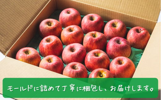 長野県飯綱町のふるさと納税 ＼農家応援企画／【令和7年度先行予約返礼品】りんご サンふじ 3kg （約 8 ～ 13玉 ） 訳あり ～ 家庭用 《 ふじ リンゴ 林檎 訳アリ わけあり 不揃い 果物 くだもの フルーツ 長野県産 長野 お試し 9000円 9000 》 令和7年収穫分 2025年11月下旬から2026年2月上旬頃までお申込み順に発送予定 長野県 飯綱町 [0566]
