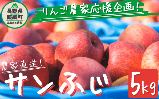 りんご サンふじ ５Kg 訳あり 〜 家庭用 【 リンゴ 林檎 訳アリ 果物