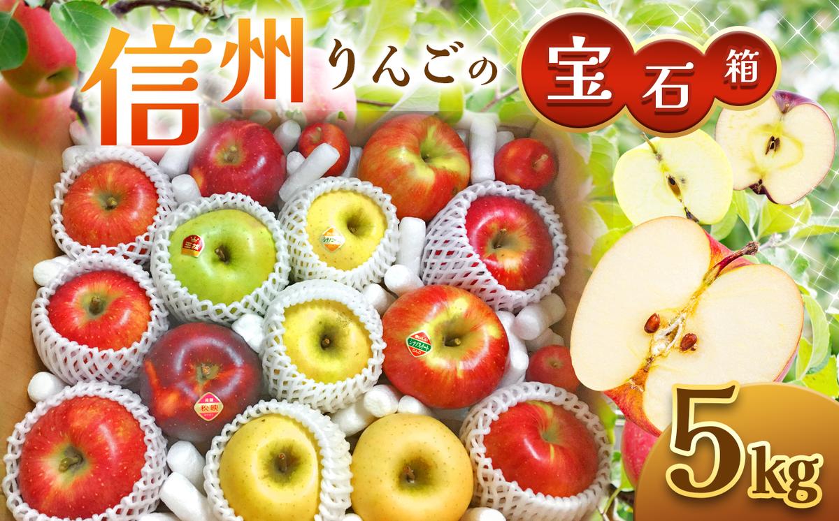 りんごの宝石箱 信州りんご詰合せ 約5kg (10〜18玉)
