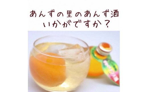 あんずの里のかわいい人気のお酒「ひとくち杏酒（5コ入）」|株式会社 横島物産