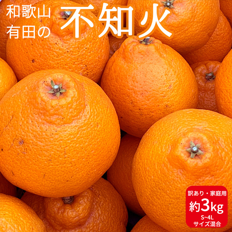 4ページ目）みかん・柑橘類の返礼品一覧 | ふるさと納税サイト 