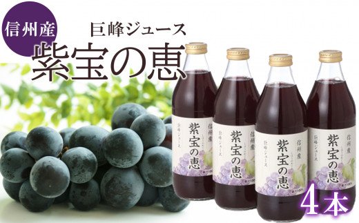 信州産 巨峰ジュース 「紫宝の恵」 果汁1