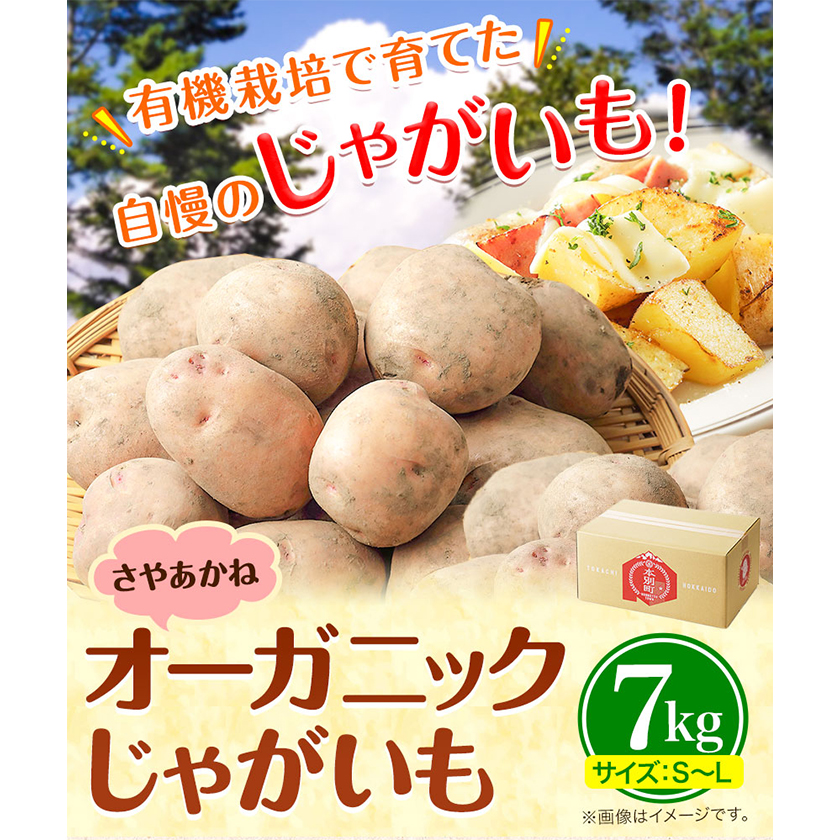 北海道本別町のふるさと納税 じゃがいも 北海道十勝 オーガニック じゃがいも 7kg サイズ S-2L《10月下旬-3月中旬頃より順次出荷》 オフイビラ源吾農場 送料無料 北海道 本別町 さやあかね 負箙源吾農場