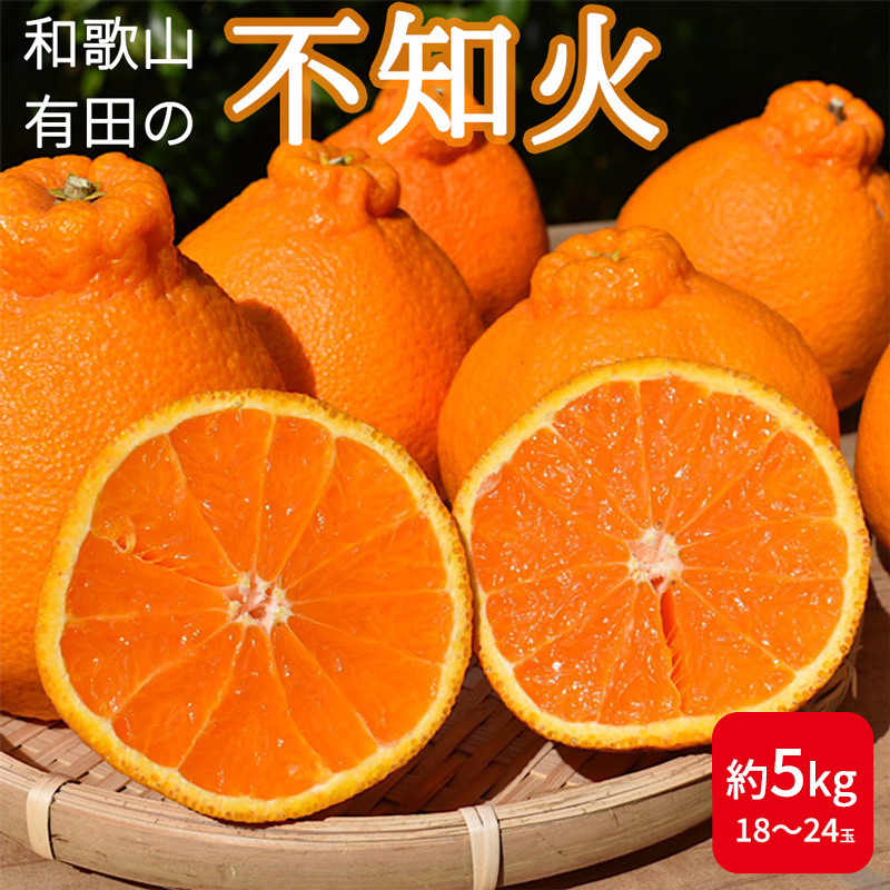 みかん・柑橘類人気返礼品ランキング（毎日更新） | ふるさと納税サイト「ふるさとプレミアム」