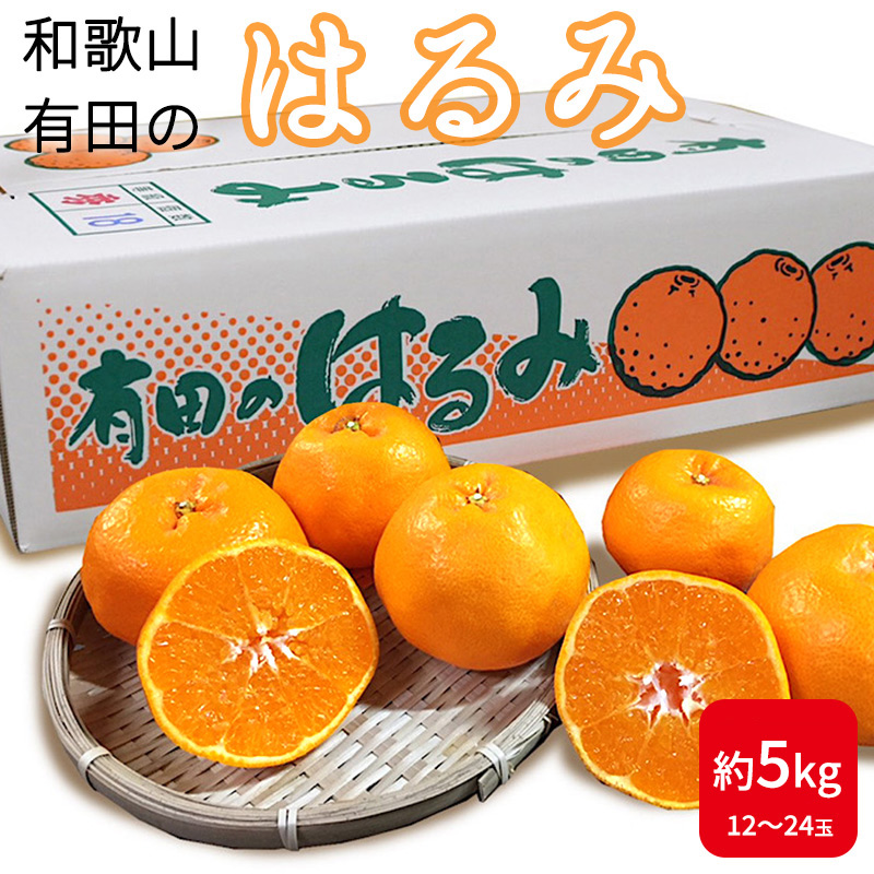 紀州有田産清見オレンジ 7.5kg ※2024年3月下旬頃〜4月下旬頃に順次発送予定