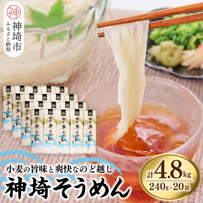 佐賀県神埼市のふるさと納税 神埼そうめん(240g×20袋) 【そうめん 麺 神埼 めん 素麺 佐賀特産品 かんざき 神埼 神崎 九州 佐賀 ギフト 贈答用 名産品】(H020101)