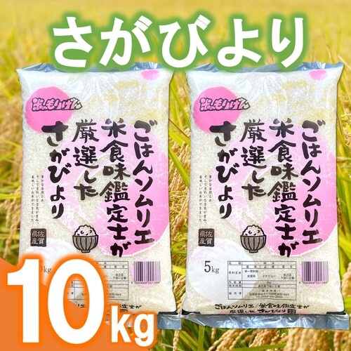 お米　さがびより10kg 2袋