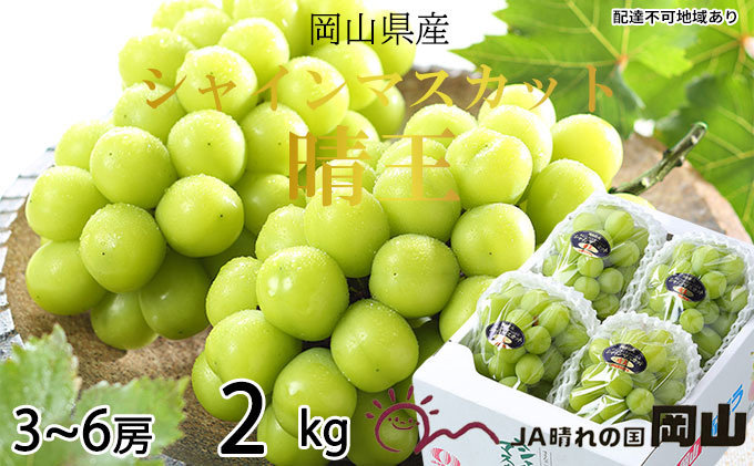 8月6日収穫予定 岡山県産シャインマスカット 2kg - 通販 ...
