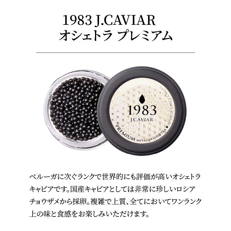 1983 J.CAVIAR オシェトラ プレミアム 20g　D092|ジャパンキャビア株式会社