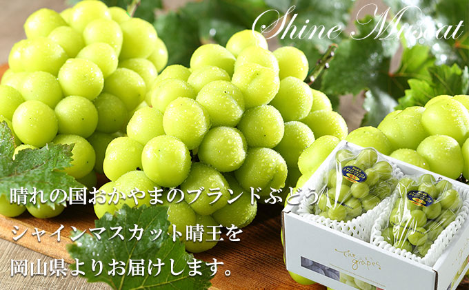 シャインマスカット 晴王 約400g×2房 岡山県産 葡萄 ぶどう 果物 ...