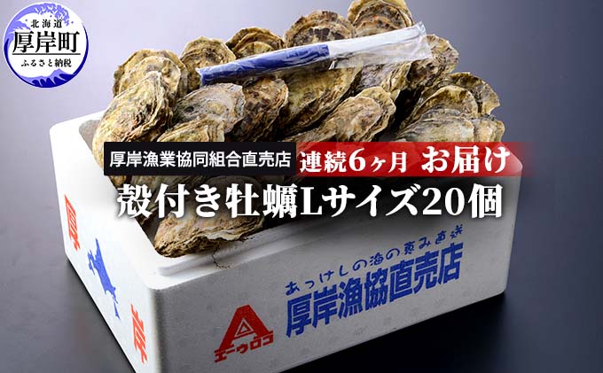 連続6ヶ月お届け（北海道厚岸町）　殻付き牡蠣Lサイズ20個　北海道厚岸産　ふるさと納税サイト「ふるさとプレミアム」