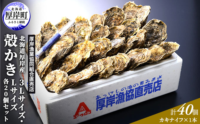 厚岸産 殻かき 3L 20個・L 20個セット (合計40個) 北海道 牡蠣 カキ