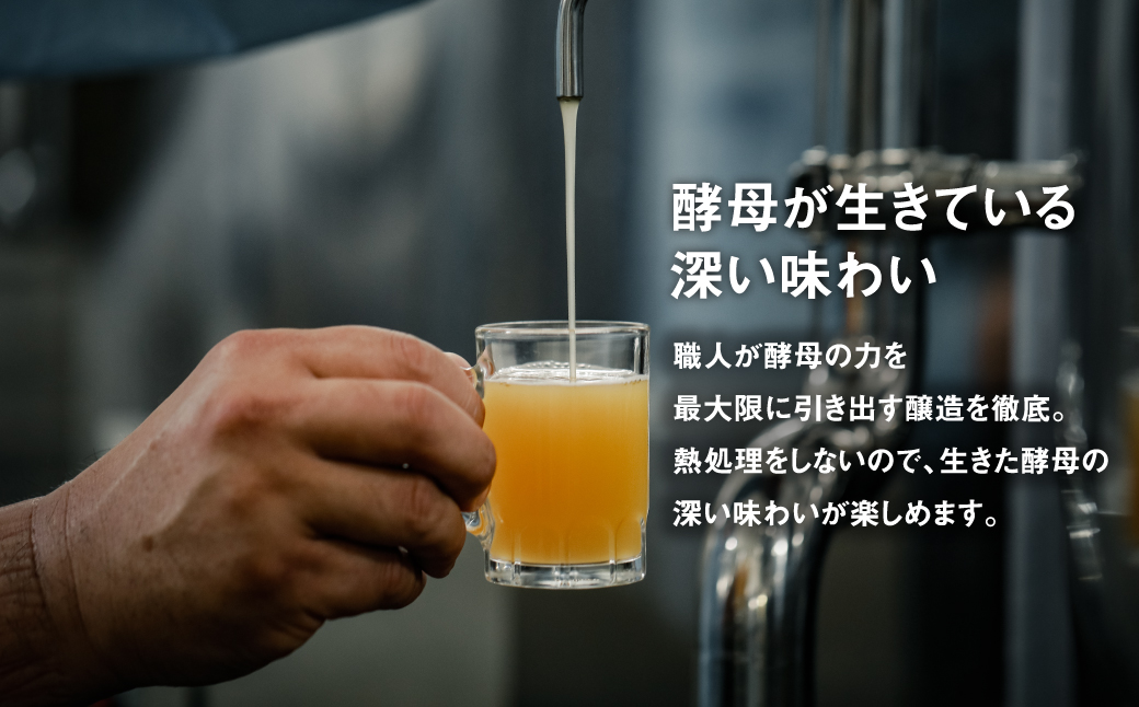 あわぢびーる飲み比べ６本セット（兵庫県淡路市） | ふるさと納税サイト「ふるさとプレミアム」