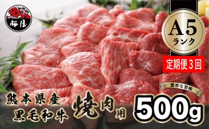 人気急上昇 ふるさと納税 牛肉 氷温 R 熟成 黒毛和牛 焼肉 800g G-59 熊本県錦町 materialworldblog.com