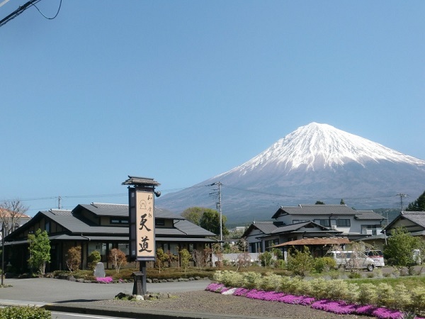 静岡県富士宮市のふるさと納税 0028-72-02　西京漬け　富士山サーモン１０切入り