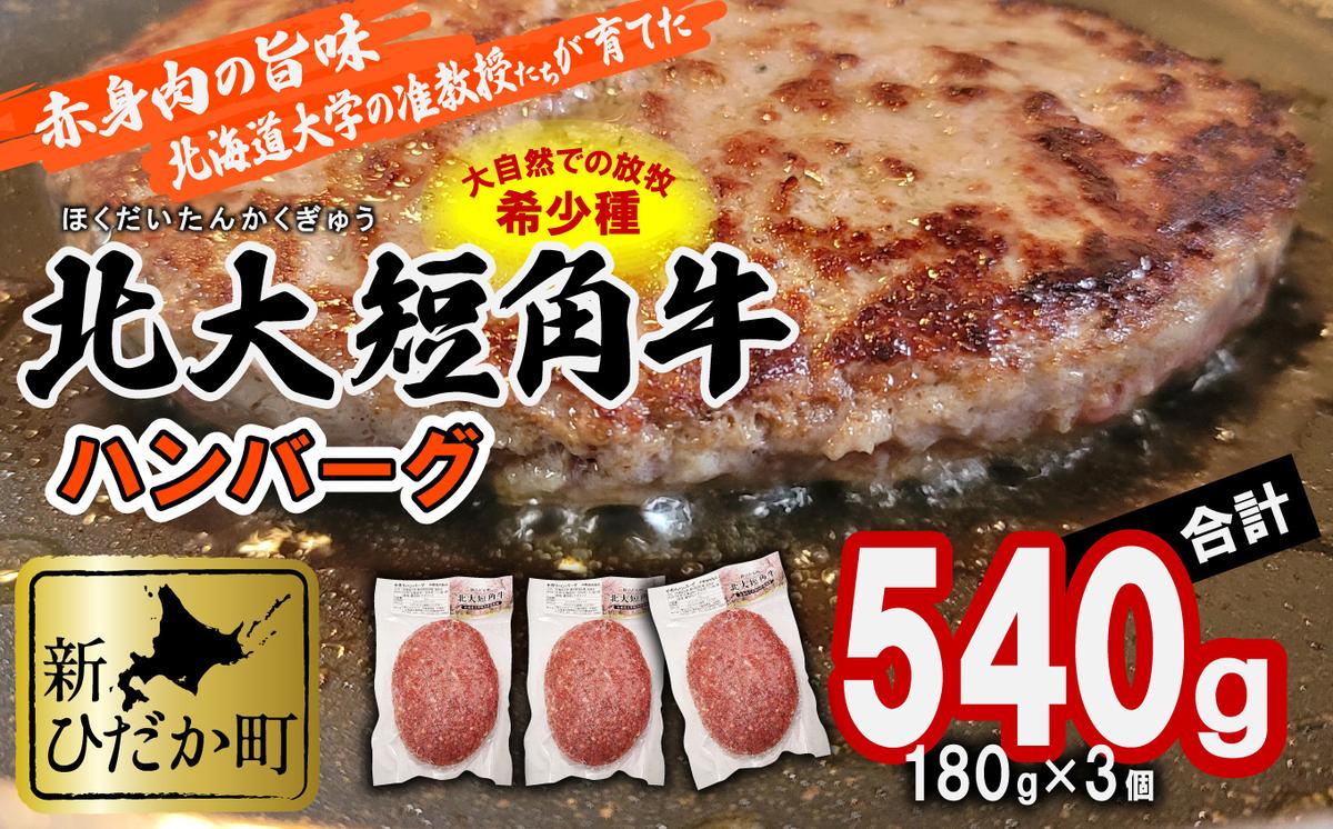 【北海道新ひだか町】北海道産 北大 短角牛 ハンバーグ 計 540g (180g×3枚)