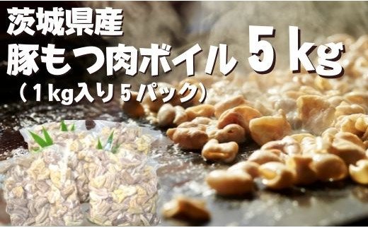 【茨城県行方市】DH-16 茨城県産 豚もつ肉ボイル(1kg入り×5袋)
