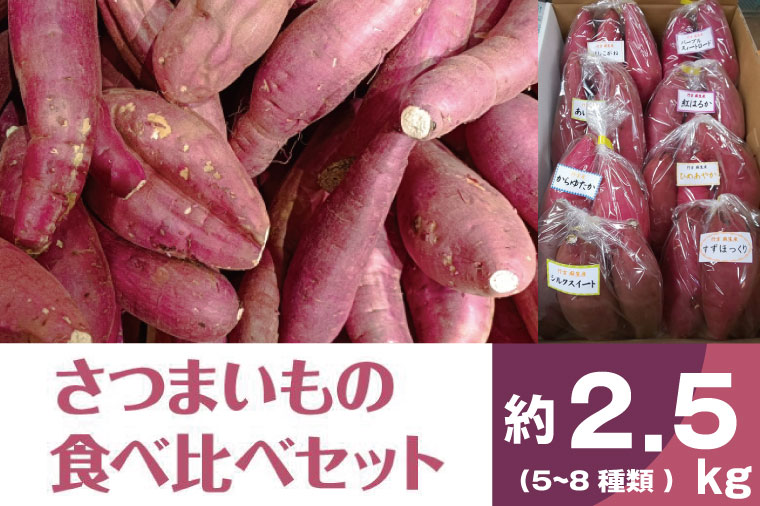 BZ-16　【先行予約】【2023年度産】いろんなさつまいも食べ比べセット　約2.5kg（5～8品種）