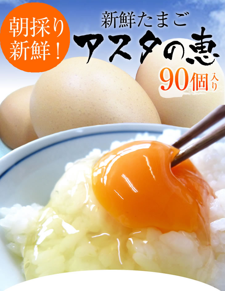 【茨城県行方市】U-3 黄身がしっかり濃厚な卵【アスタの恵み】90個