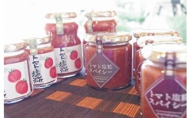 【茨城県行方市】E-4 トマト塩糀・スパイシートマト塩糀(各大・小2本)