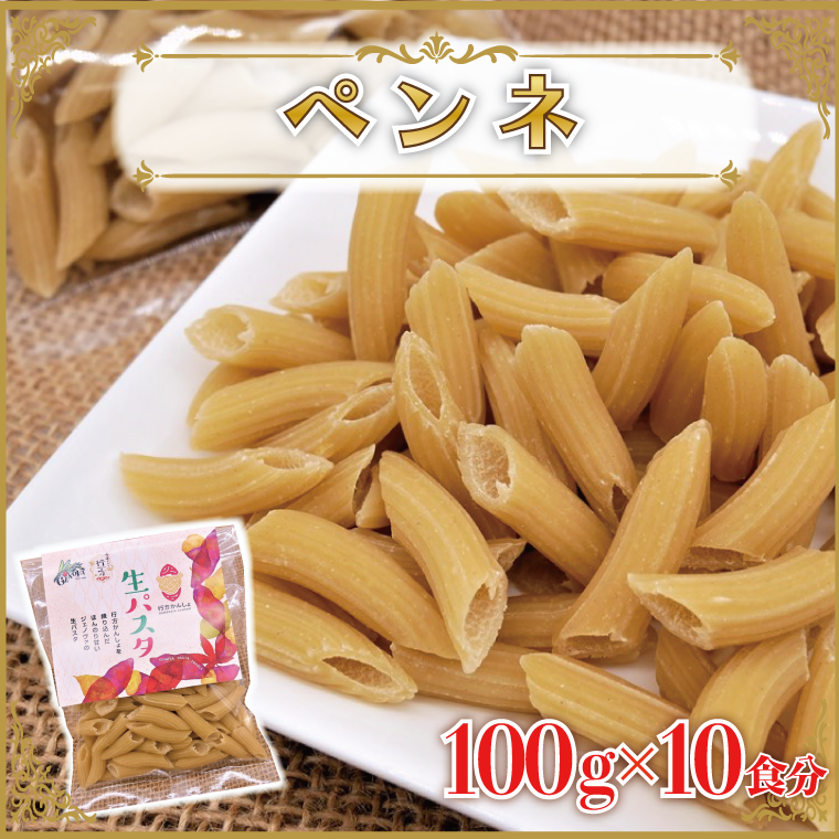 【茨城県行方市】CJ-12 生パスタ (ペンネ10食分)