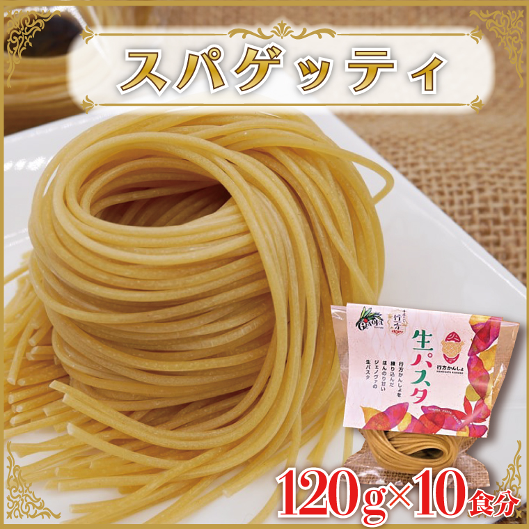 茨城県行方市のふるさと納税 CJ-15 生パスタ （スパゲッティ10食分）