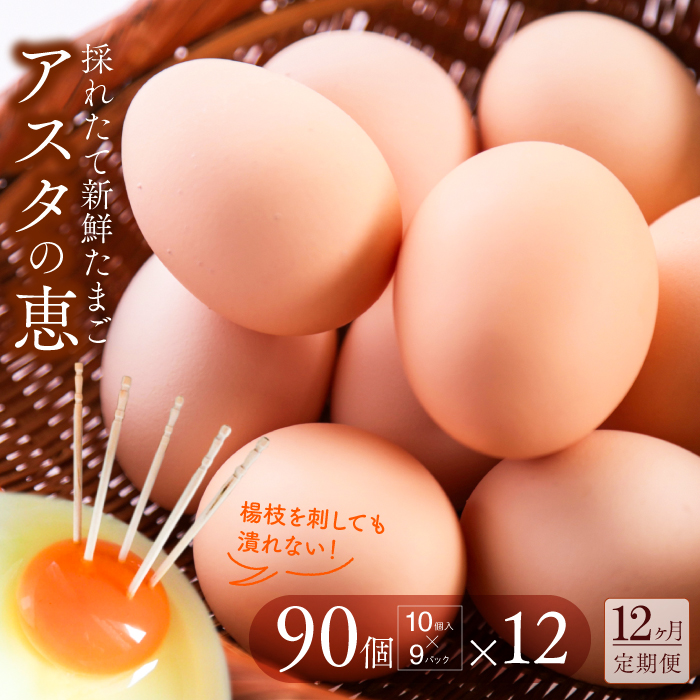 y錧sszU-9 12ց gZȗyAX^̌b݁z90×12