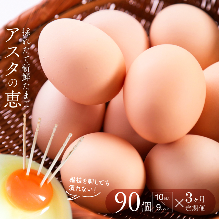 【茨城県行方市】U-7 ◆3ヵ月定期便◆ 黄身がしっかり濃厚な卵【アスタの恵み】90個×3