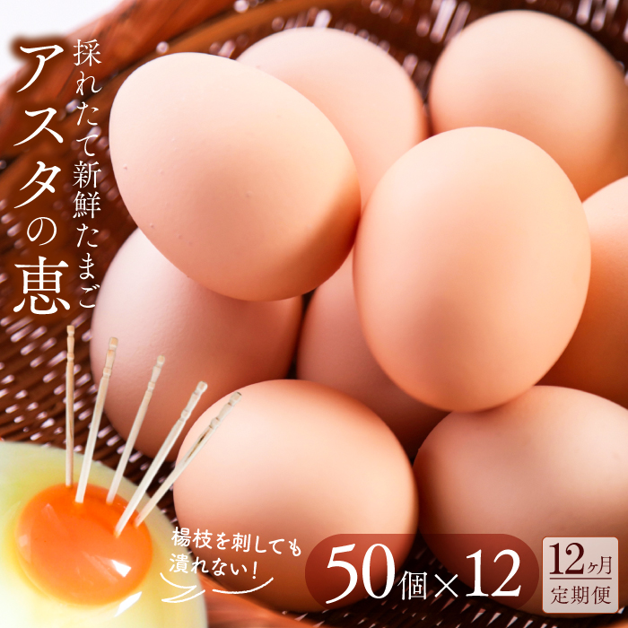 茨城県行方市のふるさと納税 U-6 ◆12ヵ月定期便◆ 黄身がしっかり濃厚な卵【アスタの恵み】50個×12