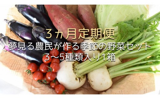 CN-6 【3ヶ月定期便】 夢見る農民が作る季節の野菜セット 3～5種類入り1箱|