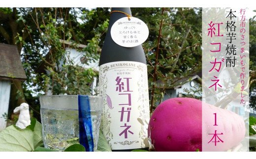 茨城県行方市のふるさと納税 CT-17 【本格芋焼酎】紅コガネ（720ml）1本