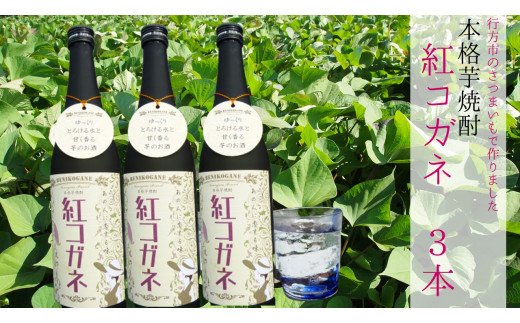 茨城県行方市のふるさと納税 CT-16 【本格芋焼酎】紅コガネ（720ml）×3本