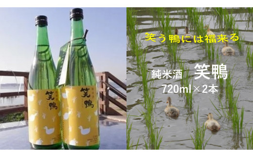 茨城県行方市のふるさと納税 CT-15 【純米酒】笑鴨　720ml×2本