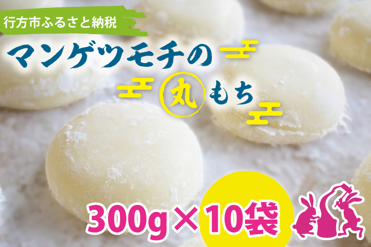 茨城県行方市のふるさと納税 K-5-1 マンゲツモチの丸もち　300g×10袋