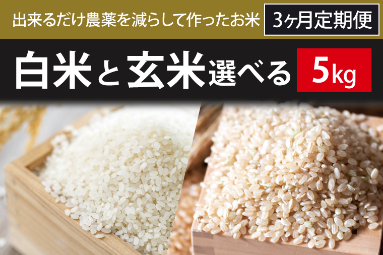 茨城県行方市のふるさと納税 BI-76 【2024年9月下旬より順次発送】3ヶ月定期便【できるだけ農薬を減らして作ったお米】こしひかり　5kg×3回（白米または玄米）