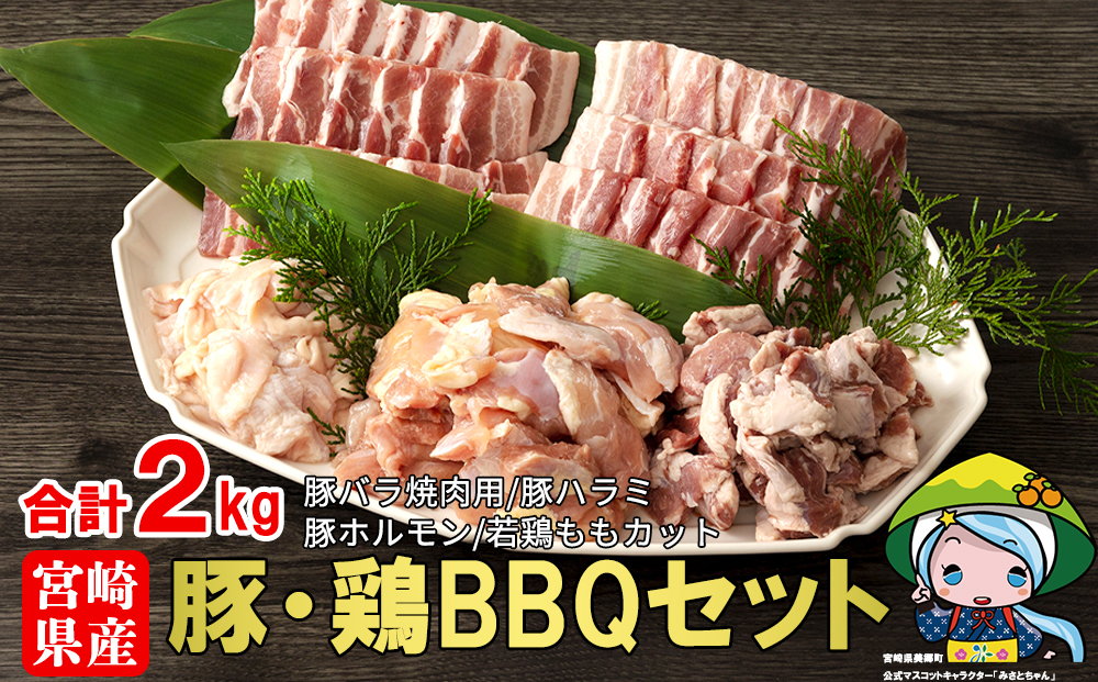 宮崎県産豚・鶏BBQセット