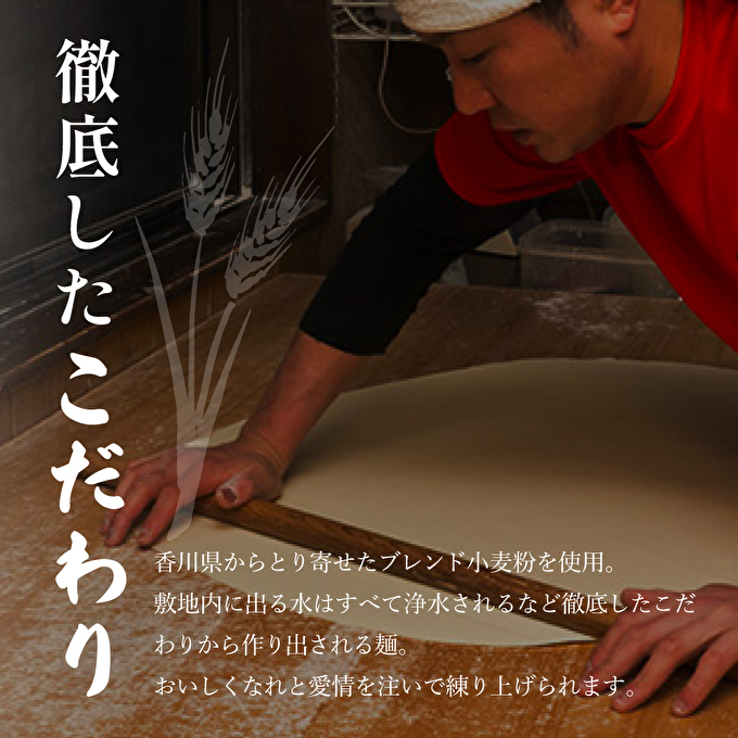 兵庫県加西市のふるさと納税 がいな製麺所のうどんセット