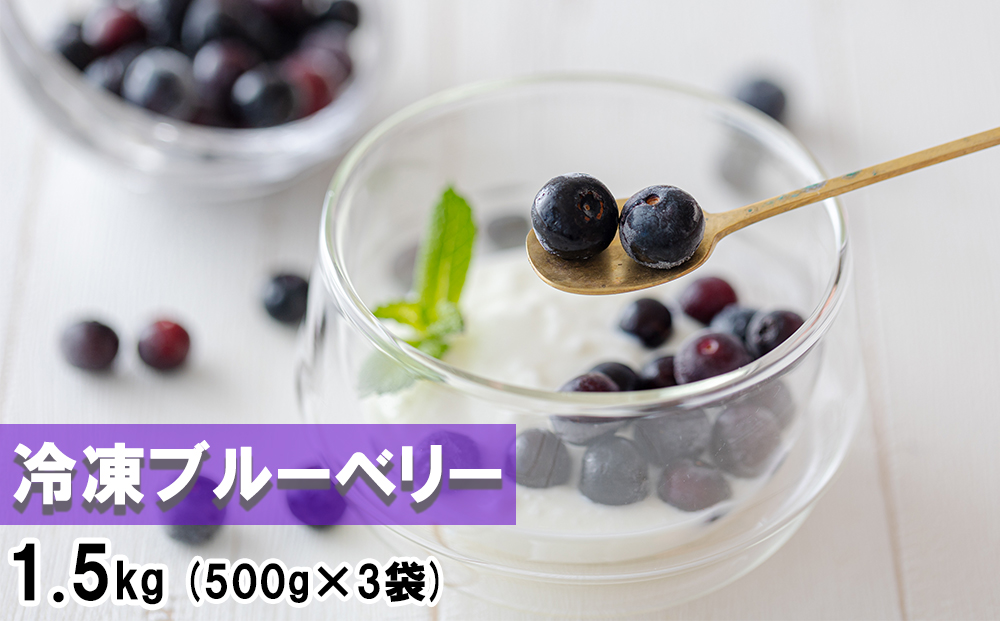 【数量限定】冷凍 ブルーベリー1.5kg（500g×3袋）