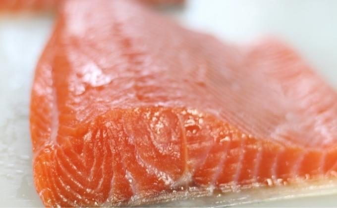 スモークサーモン屋の極上燻鮭 ブロック大（香川県東かがわ市） ふるさと納税サイト「ふるさとプレミアム」