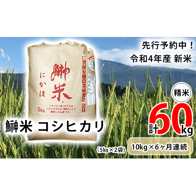 令和4年産新米予約 湯沢源流米 精米5kg 日本最大の 精米5kg