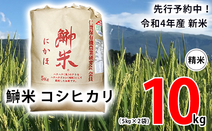 先行予約中！令和4年産 新米 11月から発送 鰰米 コシヒカリ にかほ 精米 10kg（5kg×2袋）（秋田県にかほ市） |  ふるさと納税サイト「ふるさとプレミアム」